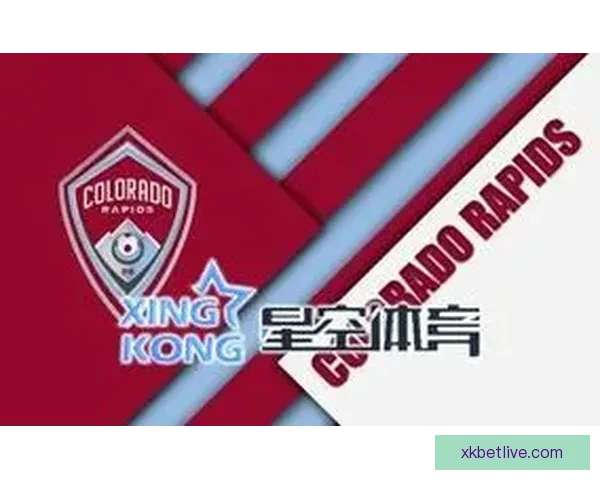 星空体育官方入口最新功能全面升级体验全新赛事观看服务 星空体育官方入口最新功能全面升级体验全新赛事观看服务