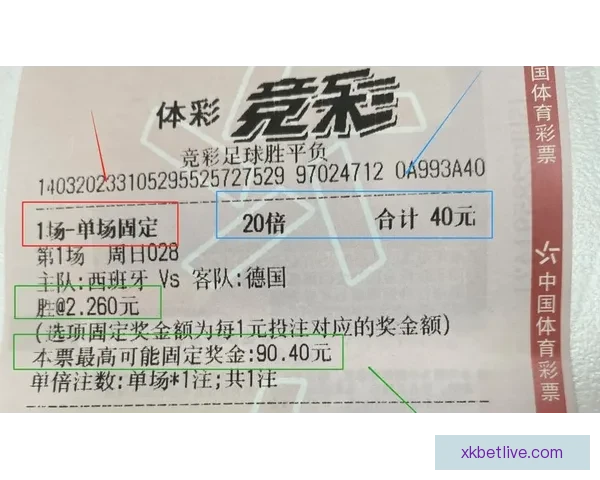 世界杯在线投注攻略 提升投注技巧赢取大奖的必备指南 世界杯在线投注攻略 提升投注技巧赢取大奖的必备指南